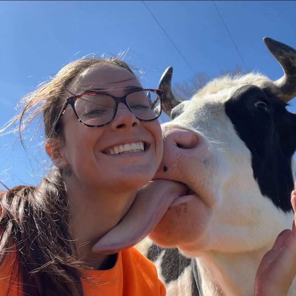 Cassidy headshot with cow licking face